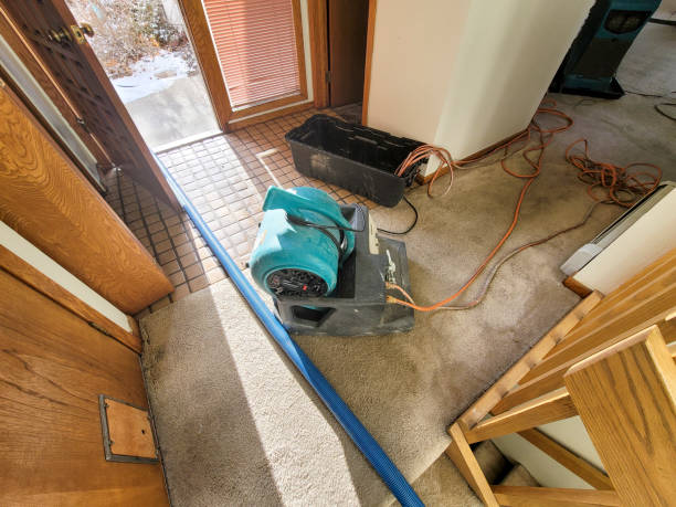 Best Water damage cleanup near me  in Lewisport, KY