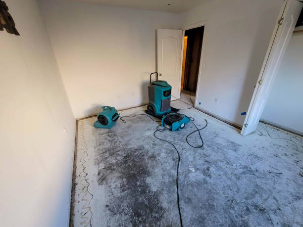 Best Commercial water damage restoration  in Lewisport, KY