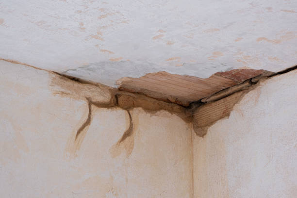 Best Flooded house restoration  in Lewisport, KY