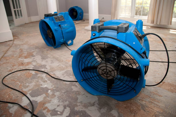 Best Water damage mitigation services  in Lewisport, KY
