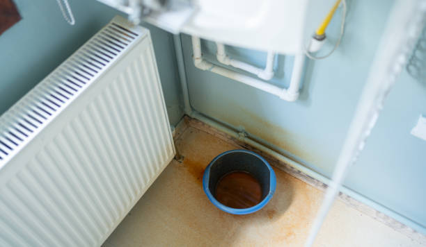 Best Water damage contractors near me  in Lewisport, KY