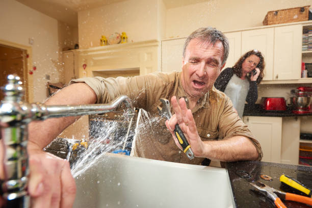 Best Local water damage restoration  in Lewisport, KY